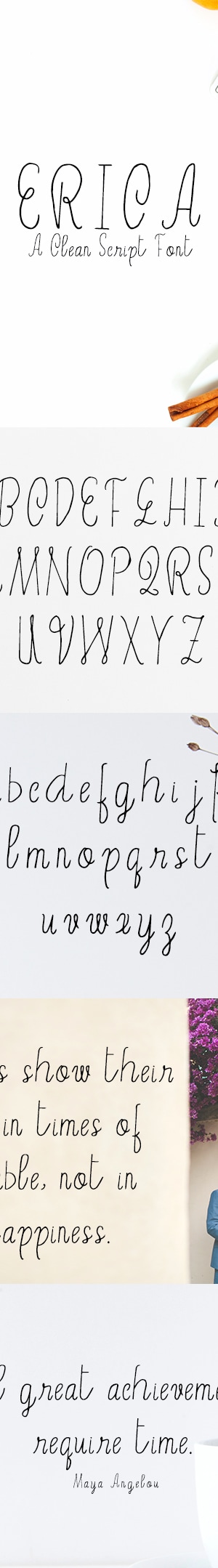 Erica Script Font Fonts GraphicRiver